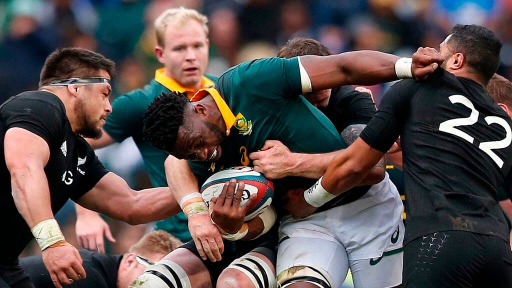 The Springboks will beat the All Blacks when they meet this year