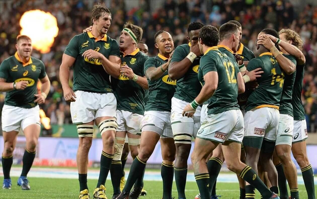 springbok rugby