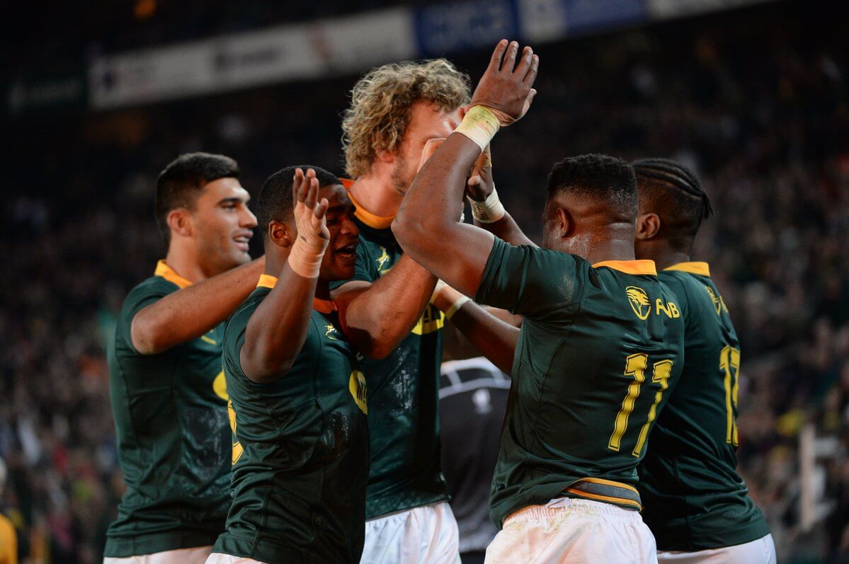 trikot springboks
