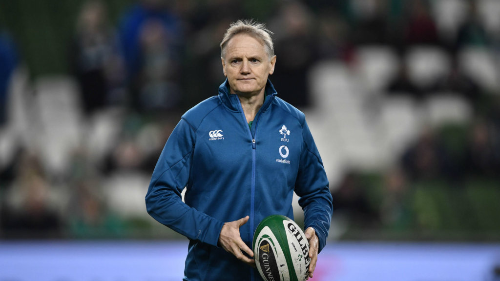 Schmidt's Ireland future to be revealed after USA clash