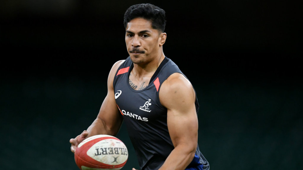 Rugby World Cup 2019: Wallabies new boy can benefit from Haylett-Petty and Beale experience