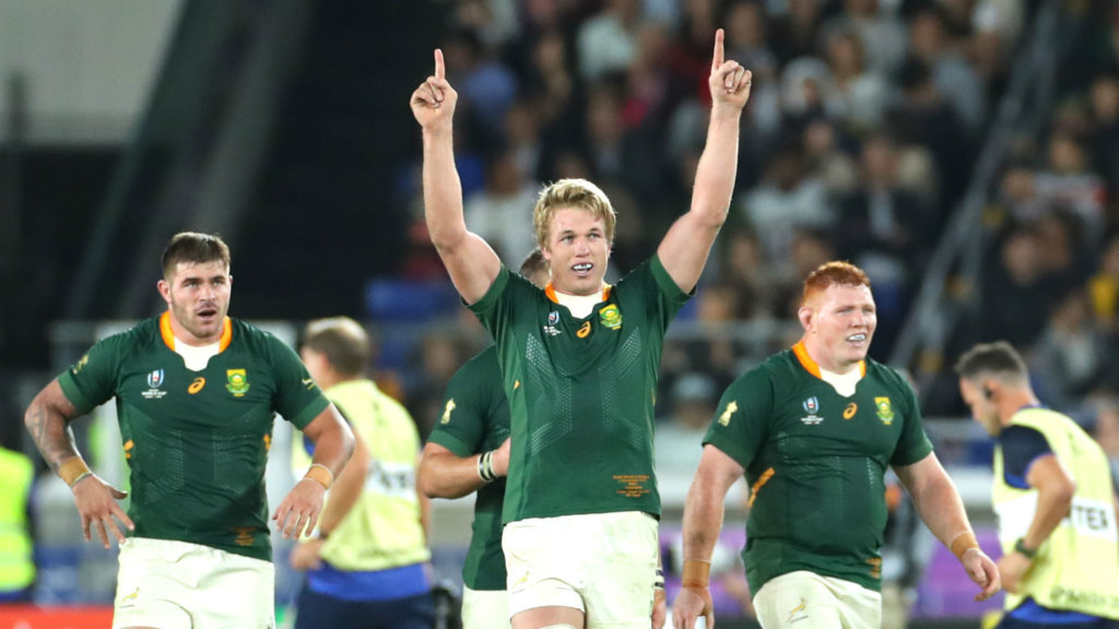 Rugby World Cup 2019: Du Toit and Erasmus land World Rugby awards