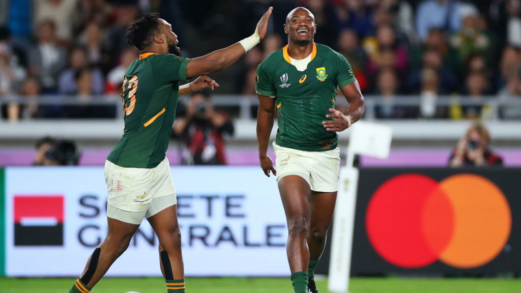 17 Tests is a lifetime worth of prep for Springboks 2023 World Cup