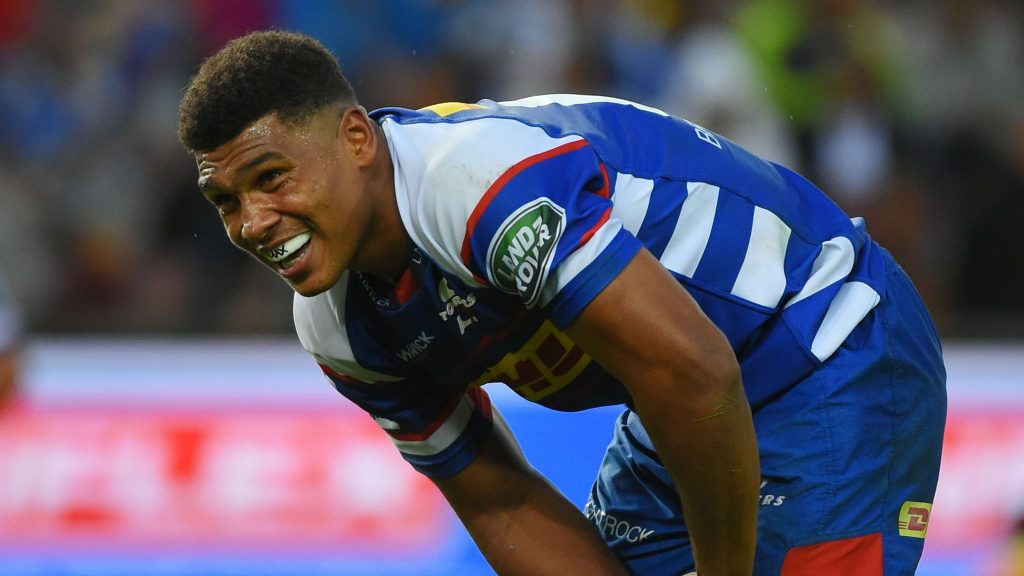 Revealed: Stormers Damian Willemse's R5 million annual salary bonanza