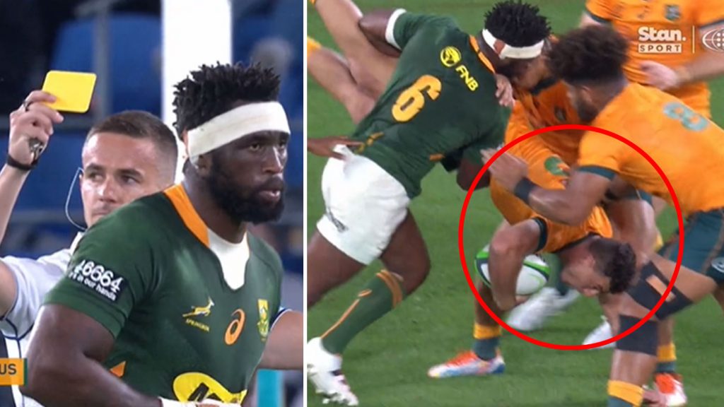 Springboks failed to respect occasion and took a beating