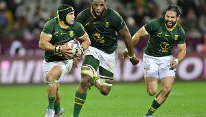 Springboks