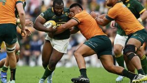 Springboks