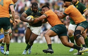 Springboks
