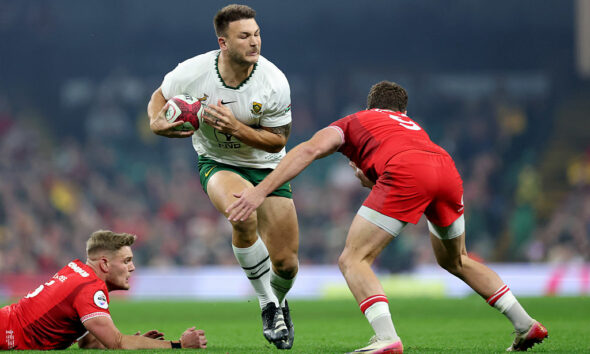 Andre Esterhuizen, Springboks, Sharks, STECO