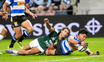 Investec Champions Cup