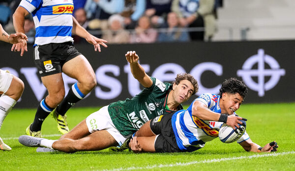 Investec Champions Cup