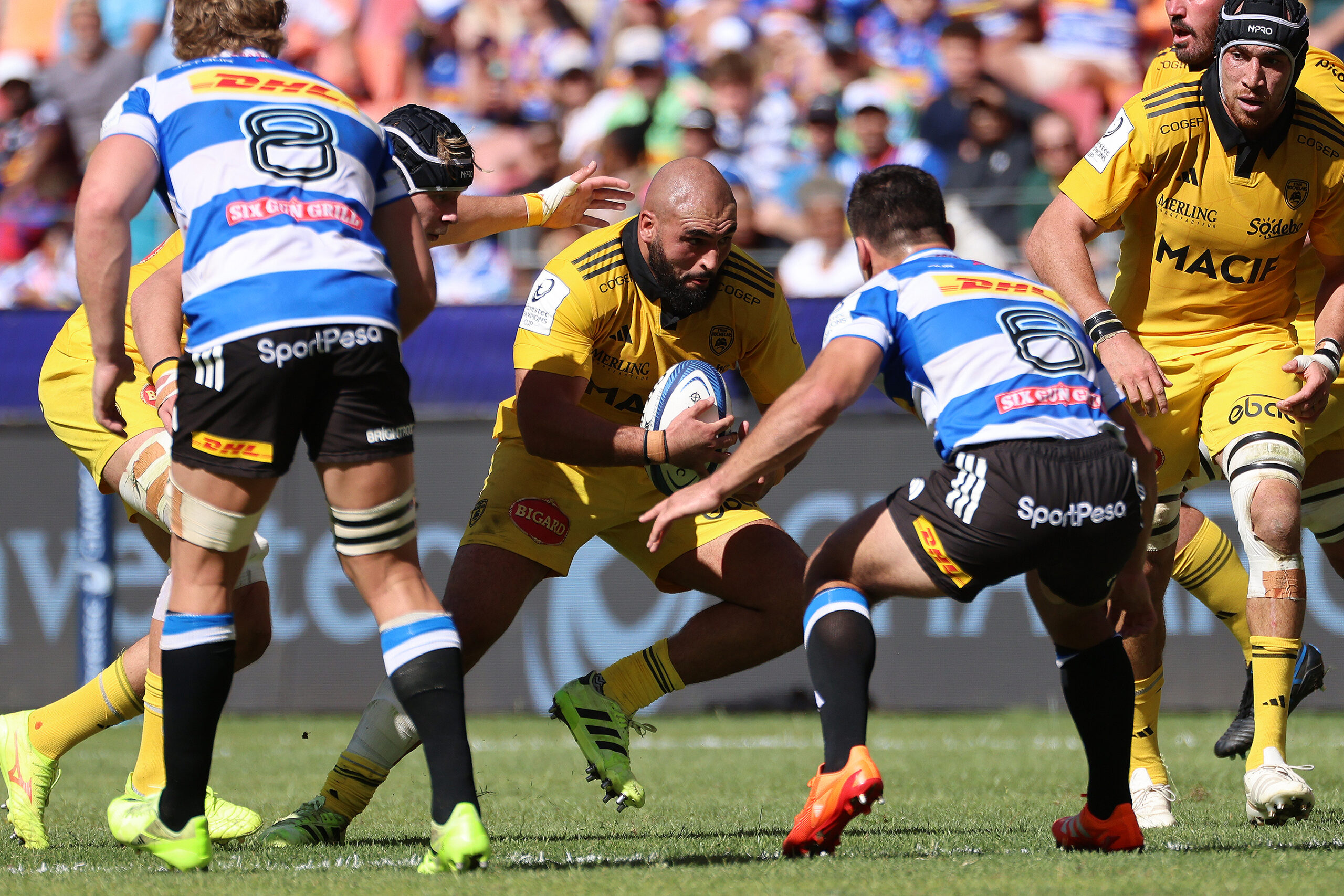 Investec Champions Cup