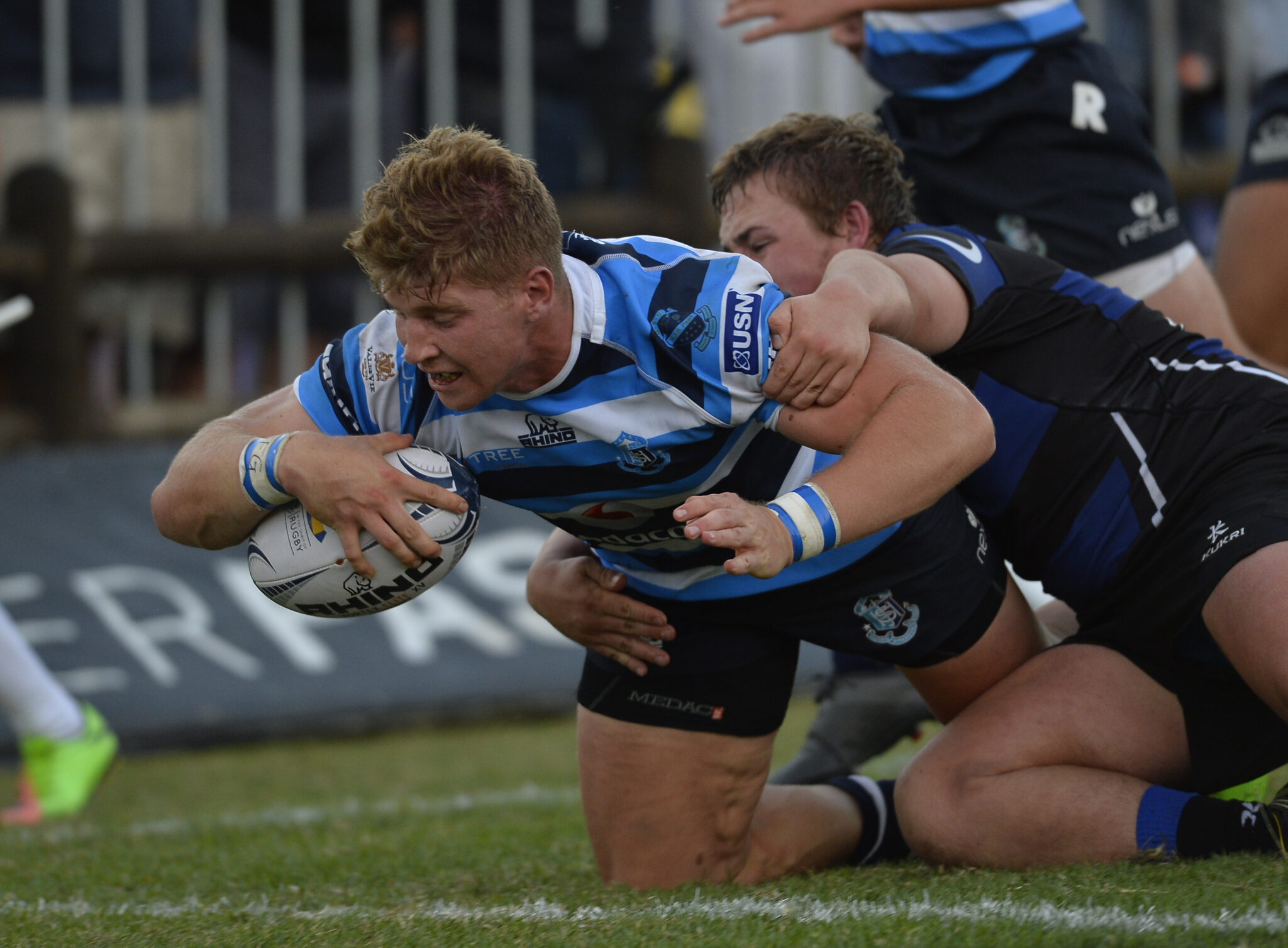 Currie Cup survival on the line for WP and Sharks - KEO.co.za