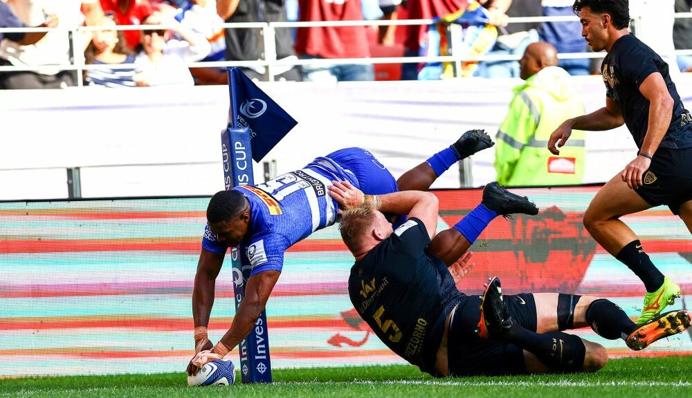 Bulls and Stormers Champions Cup