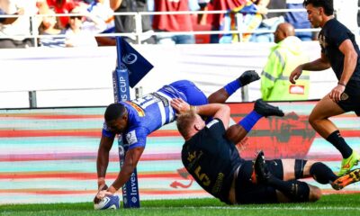 Bulls and Stormers Champions Cup