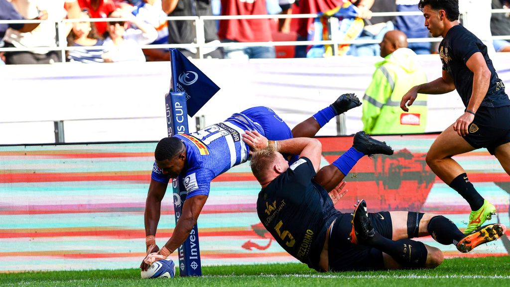 Bulls and Stormers Champions Cup