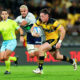 Cam Roigard Hurricanes and All Blacks No 9 (Photo by Hagen Hopkins/Getty Images)