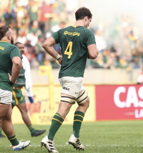 Riley Norton, Springboks