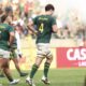 Riley Norton, Springboks