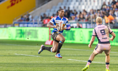 Steco Damian Willemse