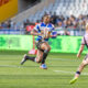 Steco Damian Willemse
