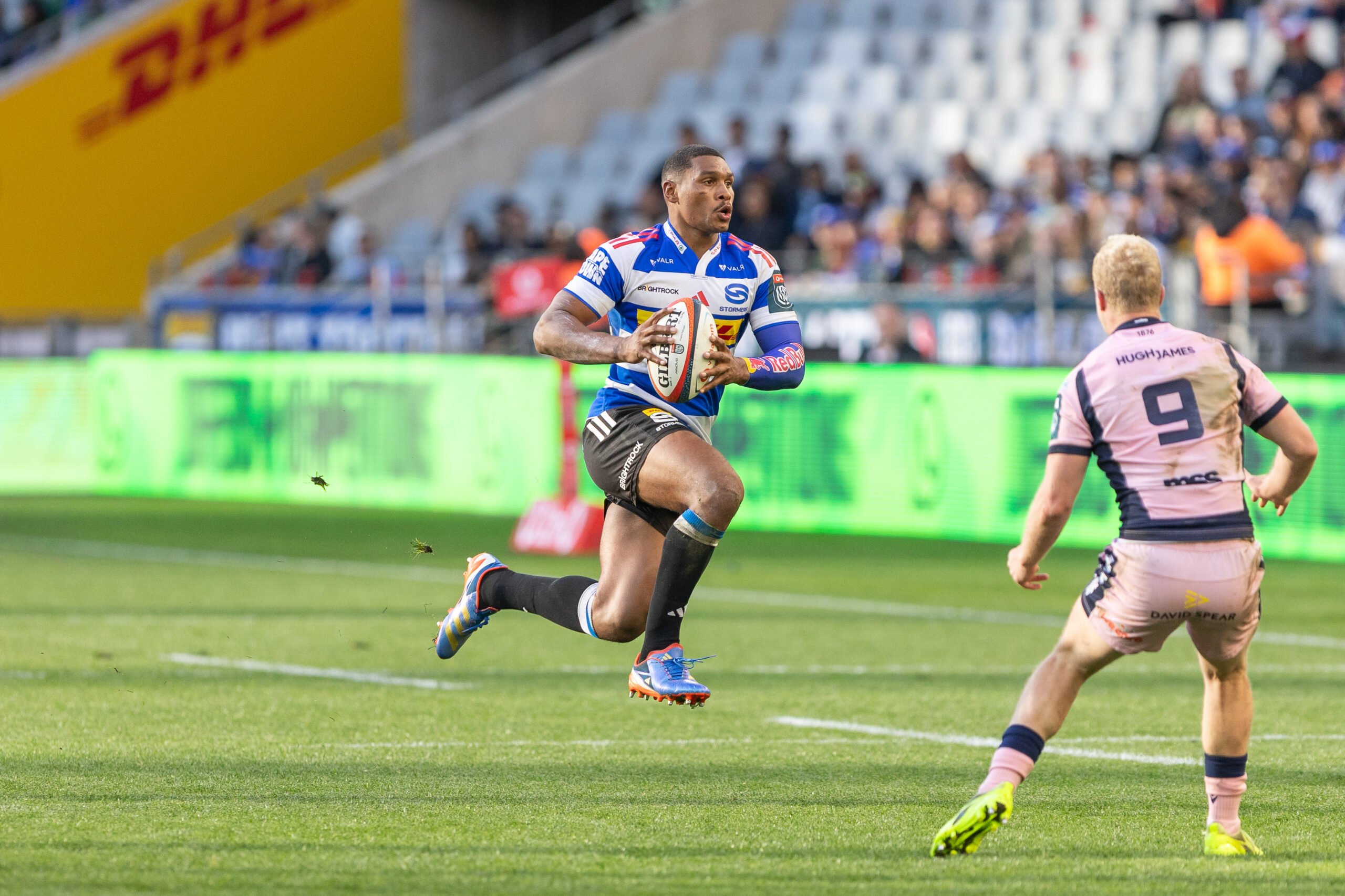 Steco Damian Willemse