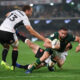 Cobus Reinach of South Africa scores his team's second try during the 2026 Nations Championship match between South Africa and Wales at Kings Park Stadium on July 18, 2026 in Durban, South Africa. (Photo by David Rogers/Getty Images)