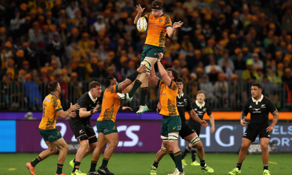 All Blacks v Wallabies
