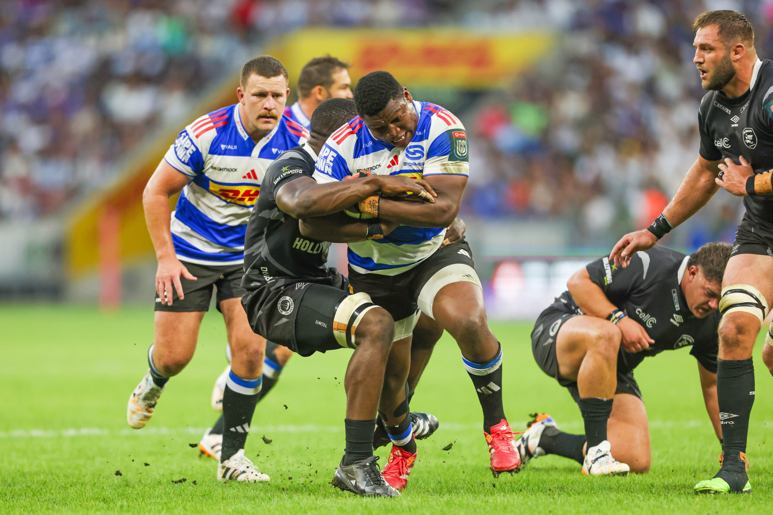 Stormers
